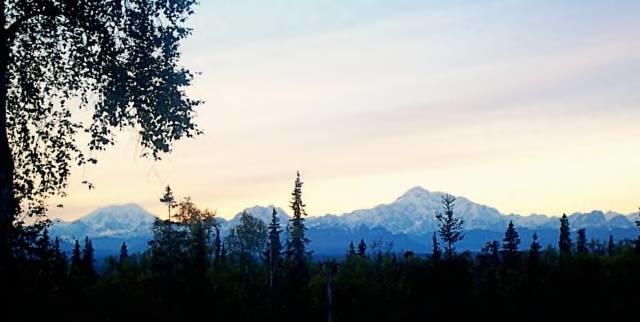 Grace And Bill'S Freedom Hills B&B Talkeetna Bagian luar foto