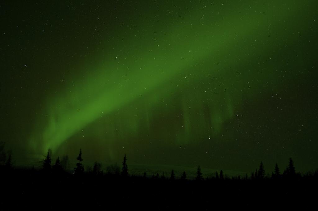 Grace And Bill'S Freedom Hills B&B Talkeetna Bagian luar foto