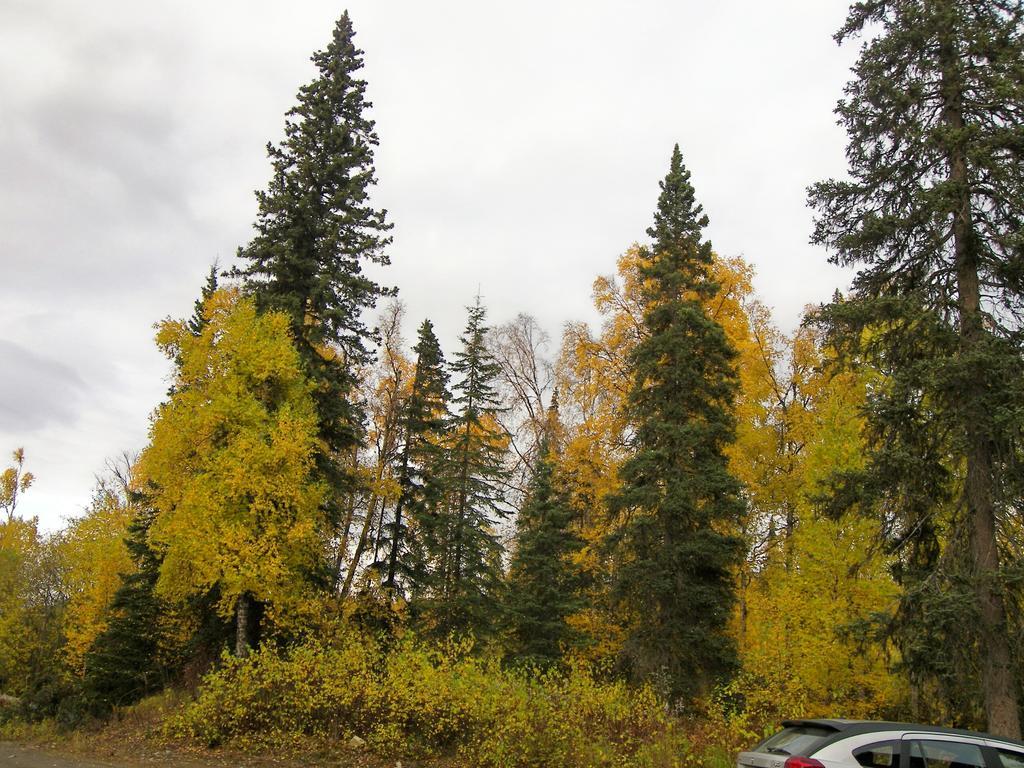 Grace And Bill'S Freedom Hills B&B Talkeetna Bagian luar foto