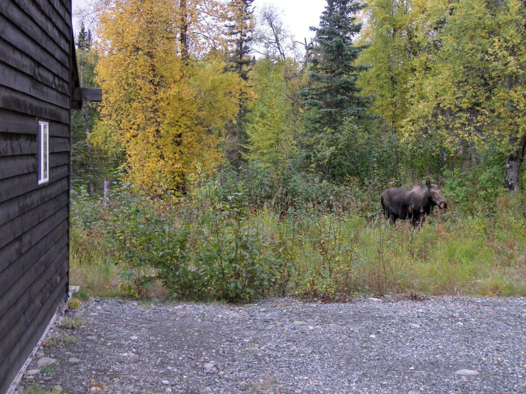 Grace And Bill'S Freedom Hills B&B Talkeetna Bagian luar foto