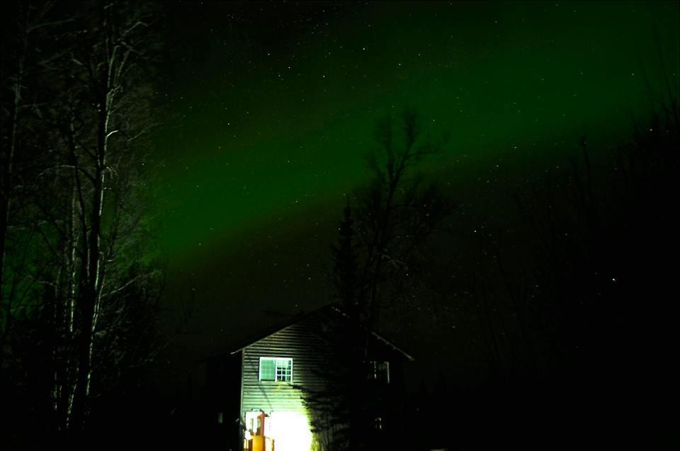 Grace And Bill'S Freedom Hills B&B Talkeetna Bagian luar foto