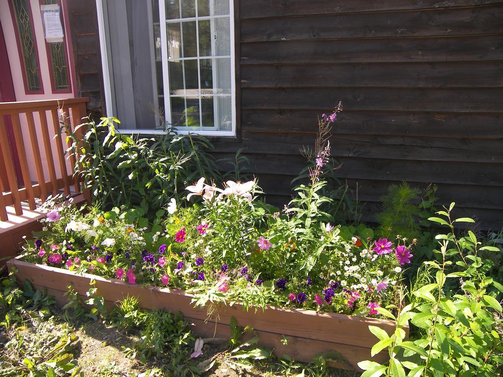 Grace And Bill'S Freedom Hills B&B Talkeetna Bagian luar foto
