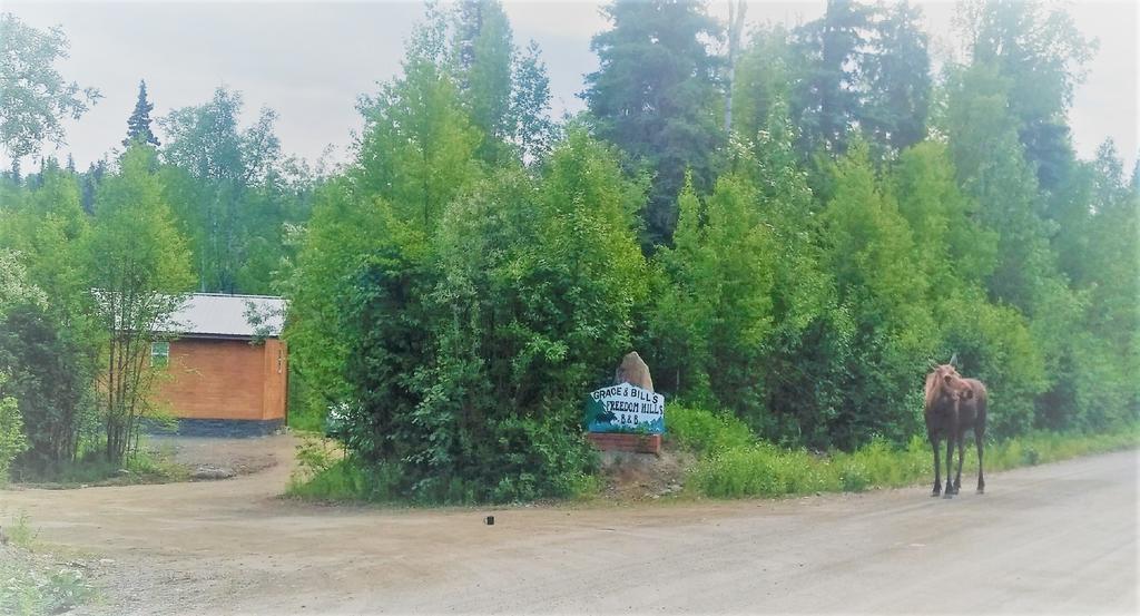 Grace And Bill'S Freedom Hills B&B Talkeetna Bagian luar foto
